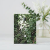 Wasserfall in Dominica Postkarte (Stehend Vorderseite)