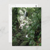 Wasserfall in Dominica Postkarte (Vorne/Hinten)