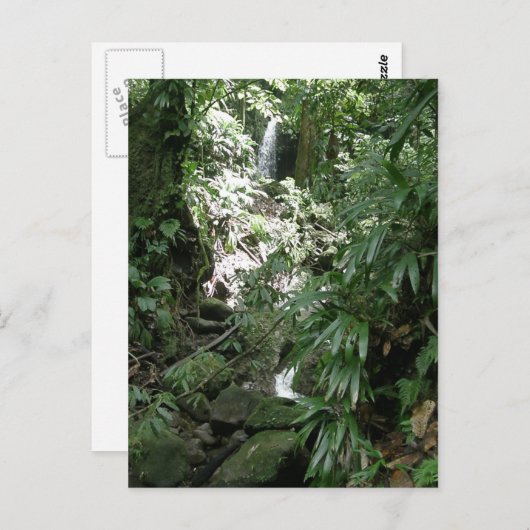 Wasserfall in Dominica Postkarte (Vorne/Hinten)