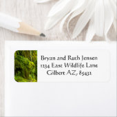 Wasserfall in Grün (Insitu)