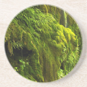 Wasserfall in Grün Getränkeuntersetzer