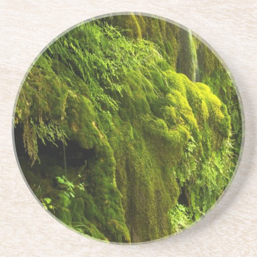 Wasserfall in Grün Getränkeuntersetzer (Vorne)