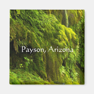 Wasserfall in grün in Payson, Arizona, Magnet