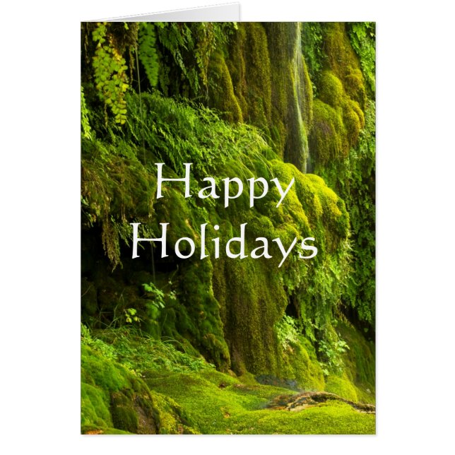 Wasserfall in grünen glücklichen Ferien (Vorne)