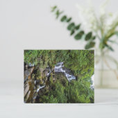 Wasserfall in Kerry, Irland (Ring of Kerry) Postkarte (Stehend Vorderseite)