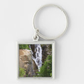 Wasserfall in Nationalpark des Mount Rainier Schlüsselanhänger (Vorne)