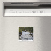 Wasserfall in North Carolina Magnet (In Situ (Geschirrspüler))