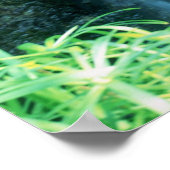 WASSERFALL IN SHAWS GARDEN POSTER (Ecke)