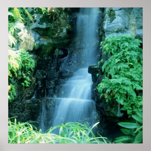 WASSERFALL IN SHAWS GARDEN POSTER (Vorne)