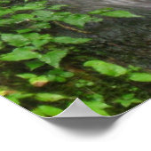 Wasserfall in Smokey Mountains Poster (Ecke)