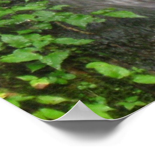 Wasserfall in Smokey Mountains Poster (Ecke)