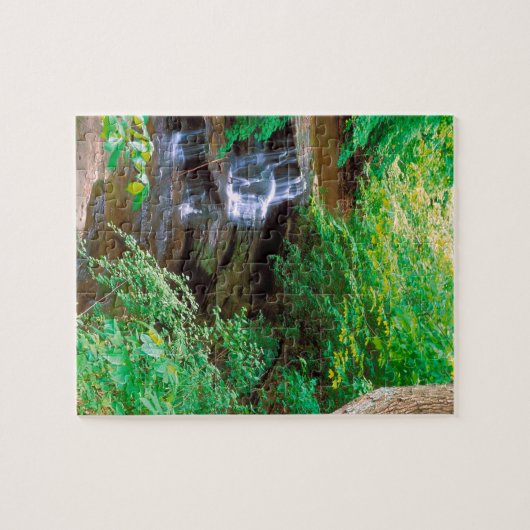 Wasserfall in verhungertem Felsen-Staats-Park Puzzle (Horizontal)