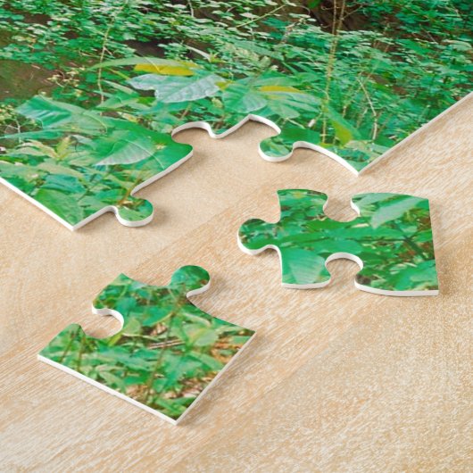 Wasserfall in verhungertem Felsen-Staats-Park Puzzle (Seite)