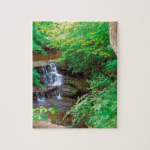 Wasserfall in verhungertem Felsen-Staats-Park Puzzle