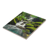 Wasserfall in Wanne Berk Berg des Dschungel-| Phu Fliese (Seite)