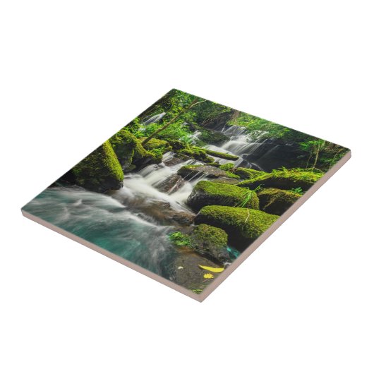 Wasserfall in Wanne Berk Berg des Dschungel-| Phu Fliese (Seite)
