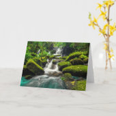 Wasserfall in Wanne Berk Berg des Dschungel-| Phu Karte (Gelbe Blume)