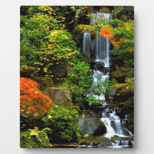 Wasserfall Japanischer Garten Portland Fotoplatte