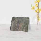 Wasserfall Karte (Gelbe Blume)