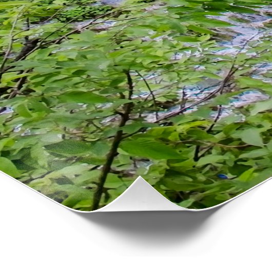 Wasserfall Kaskade im Park der Plitvicer Seen Poster (Ecke)