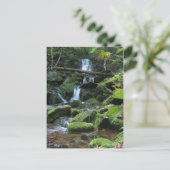 Wasserfall Kaskade in üppiger Waldlandschaft Natur Postkarte (Stehend Vorderseite)