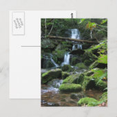 Wasserfall Kaskade in üppiger Waldlandschaft Natur Postkarte (Vorne/Hinten)