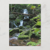 Wasserfall Kaskade in üppiger Waldlandschaft Natur