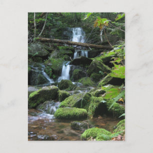 Wasserfall Kaskade in üppiger Waldlandschaft Natur Postkarte