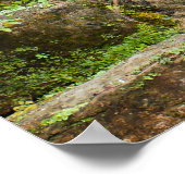 Wasserfall Kew Gärten Poster (Ecke)