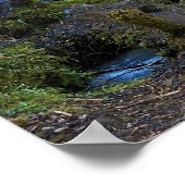Wasserfall-Landschaft im malerischen Wald Poster (Ecke)
