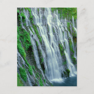 Wasserfall landschaftlich, Kalifornien Postkarte
