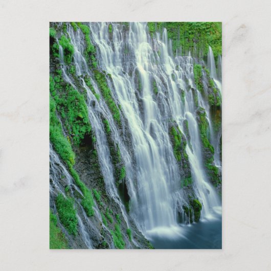 Wasserfall landschaftlich, Kalifornien Postkarte (Vorderseite)