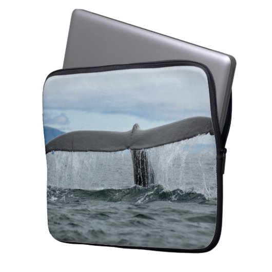 Wasserfall Laptopschutzhülle (Vorderseite Links)