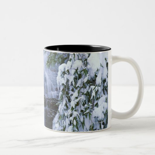 Wasserfall, Mammutbaum und Könige Canyon National Zweifarbige Tasse (Rechts)