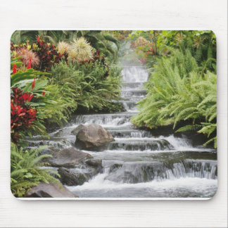 Wasserfall Mousepad