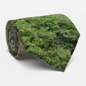 Wasserfall nahe Hilo, Hawaii Krawatte (Gerollt)