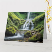 Wasserfall Natur Außenwelt Landschaft Friedlich Karte (Gelbe Blume)