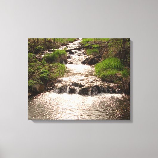 Wasserfall Natur Woods Fotografie Canvas Print MN Leinwanddruck (Vorderseite)