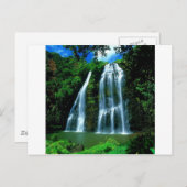 Wasserfall Opaekaa Kauai Hawaii Postkarte (Vorne/Hinten)