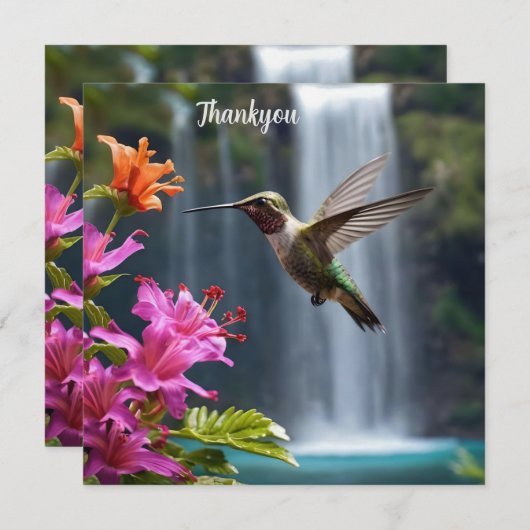 Wasserfall Park Hummingbird, Dankeskarte (Vorne/Hinten)