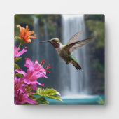 Wasserfall Park Hummingbird, Fotoplatte (Vorderseite)