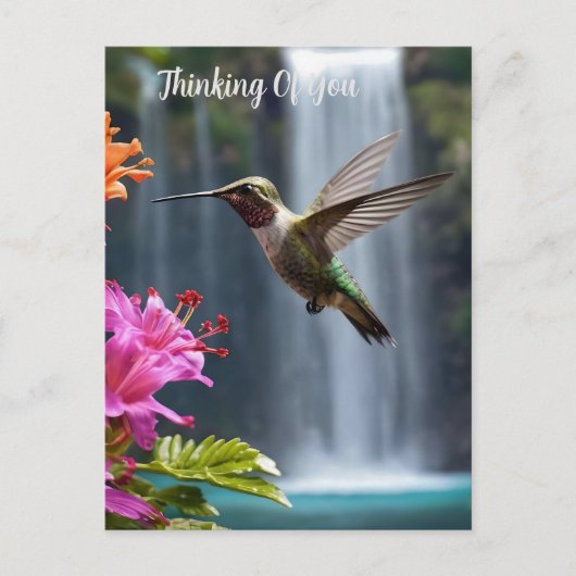 Wasserfall Park Hummingbird, Postkarte (Vorderseite)