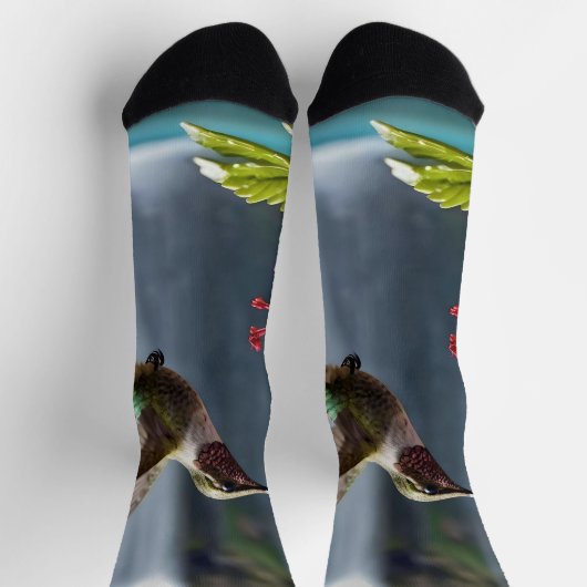 Wasserfall Park Hummingbird, Socken (Oben)