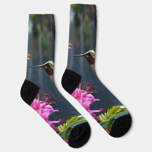 Wasserfall Park Hummingbird, Socken (Rechts)