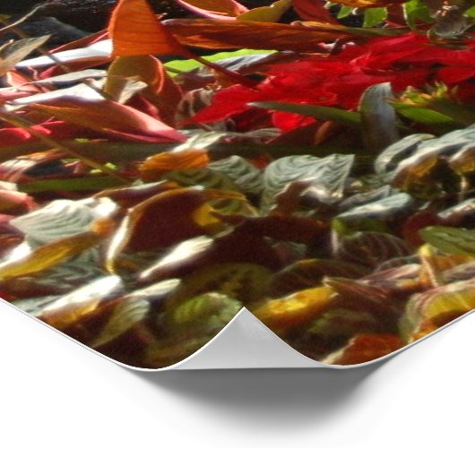 Wasserfall Poster (Ecke)