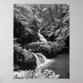 Wasserfall Poster (Vorne)