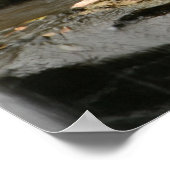 Wasserfall Poster (Ecke)