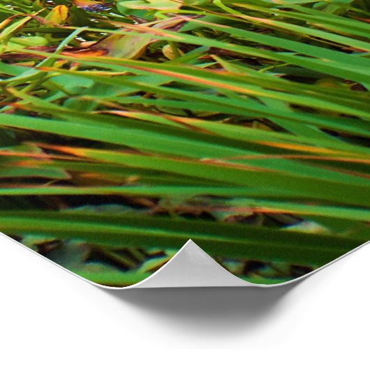 Wasserfall Poster (Ecke)