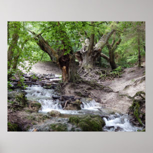 Wasserfall Poster