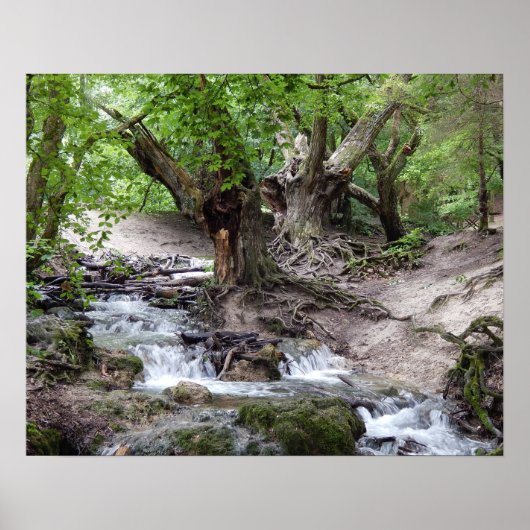 Wasserfall Poster (Vorne)